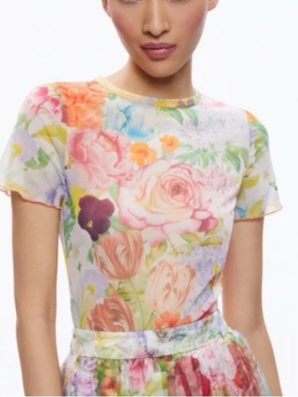 Alice + Olivia Mesh Short Sleeve Top